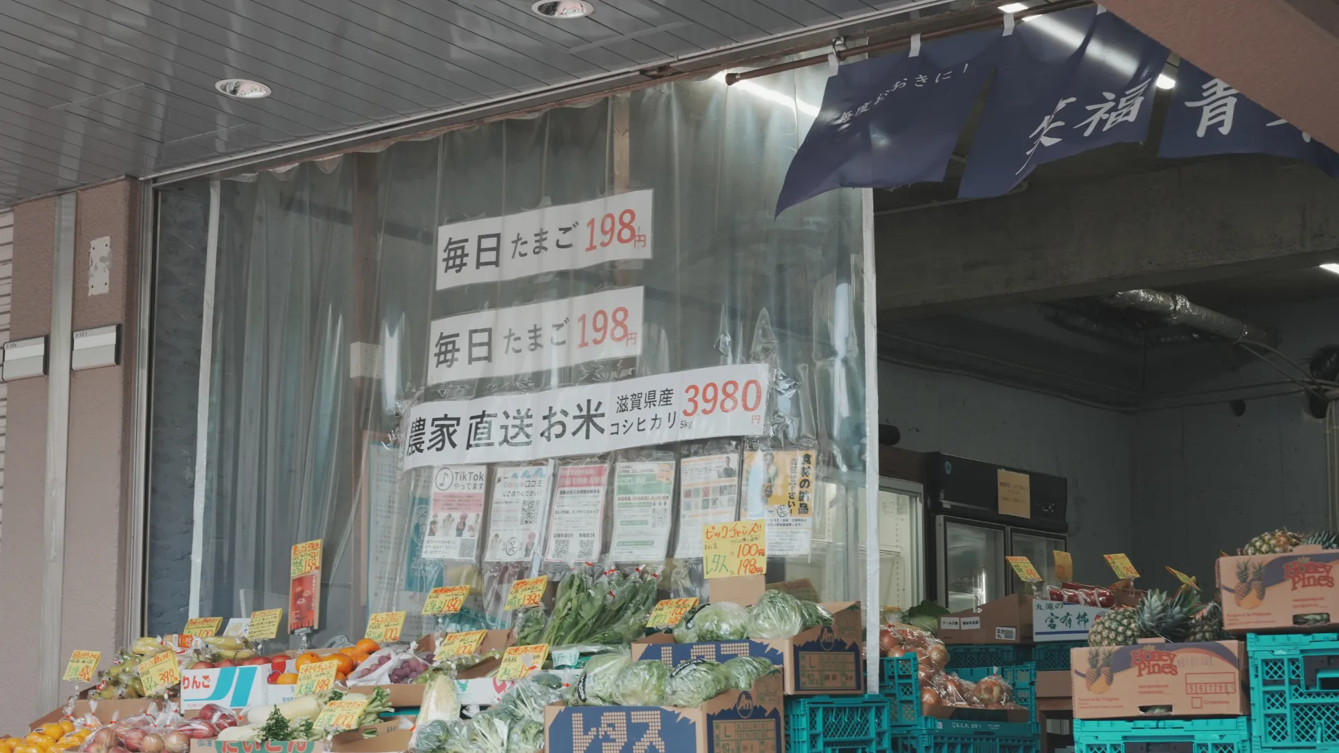 笑福青果